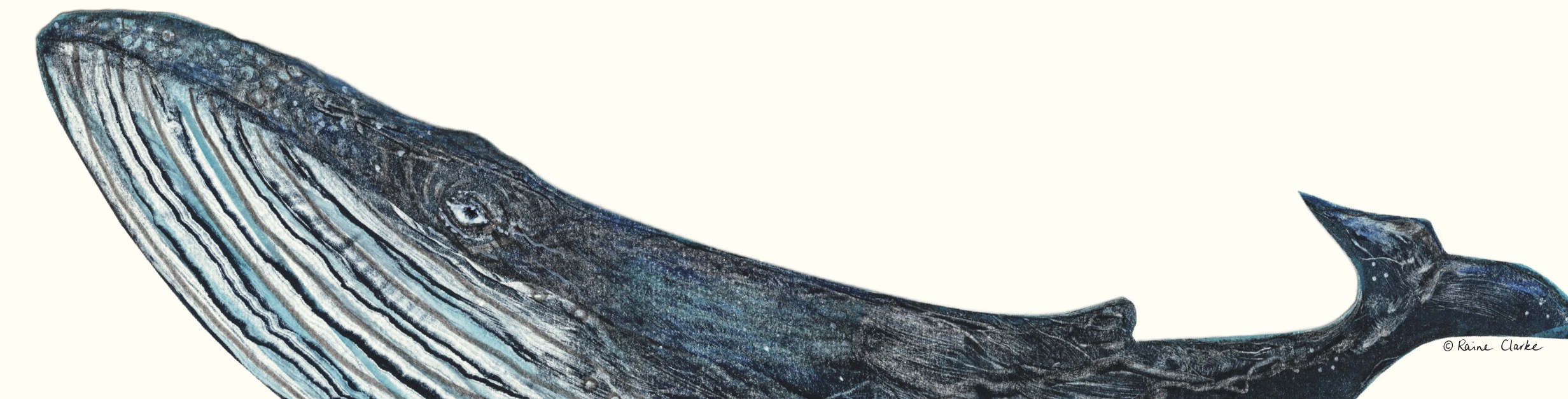 Whale
